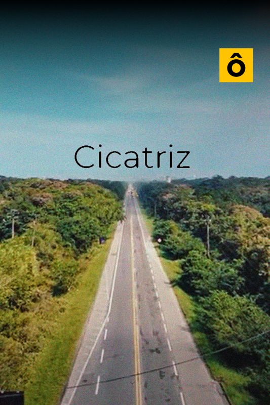 Cicatriz